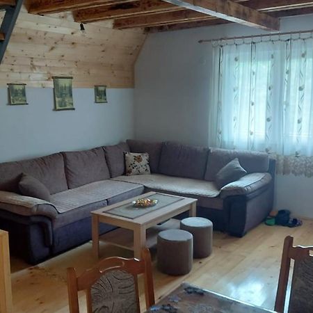 Vila Daniela Zaovine Екстериор снимка