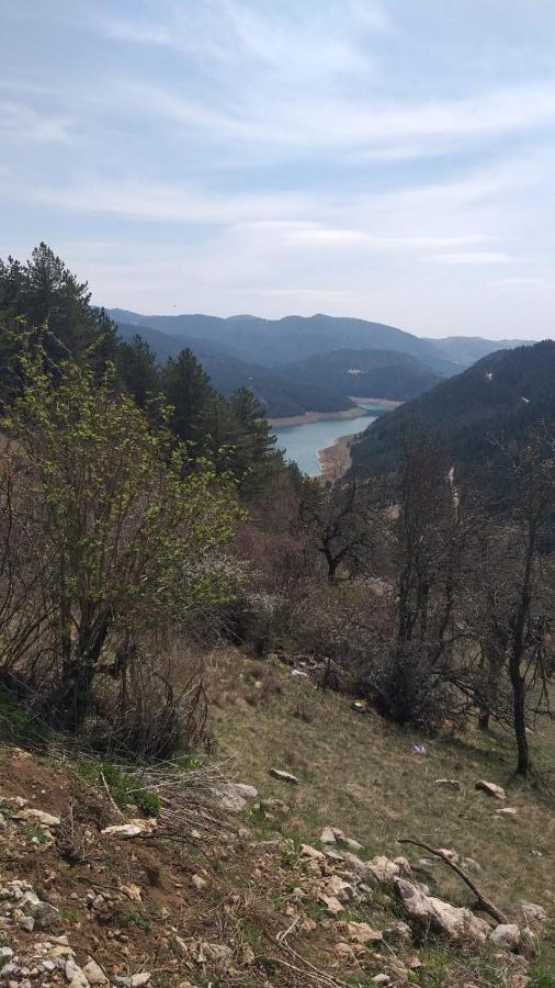 Vila Daniela Zaovine Екстериор снимка