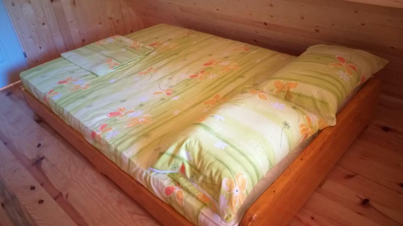 Vila Daniela Zaovine Екстериор снимка