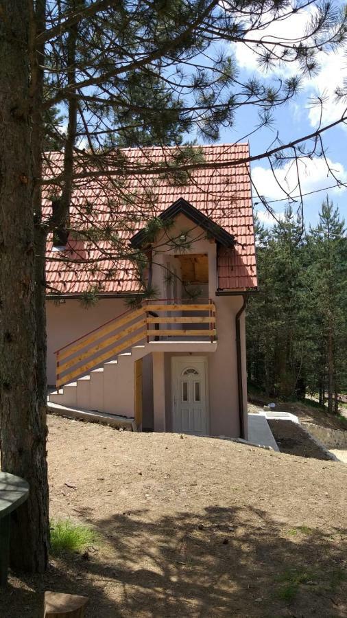Vila Daniela Zaovine Екстериор снимка