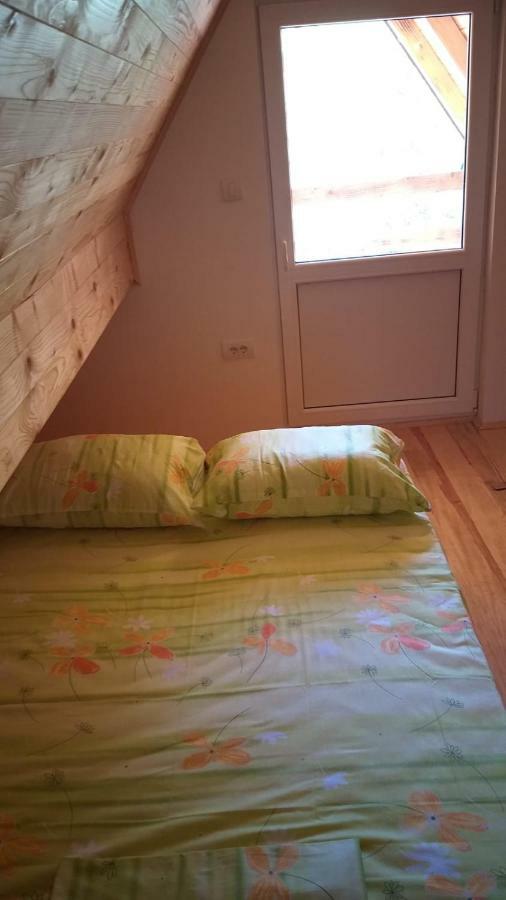 Vila Daniela Zaovine Екстериор снимка